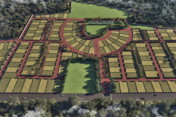 aerial view 01 aerial view 01